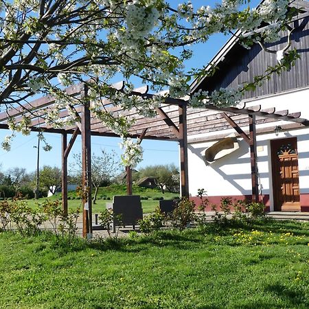 Tisza White House Bed & Breakfast Tiszaszolos ภายนอก รูปภาพ