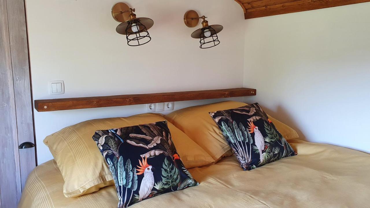 Tisza White House Bed & Breakfast Tiszaszolos ห้อง รูปภาพ