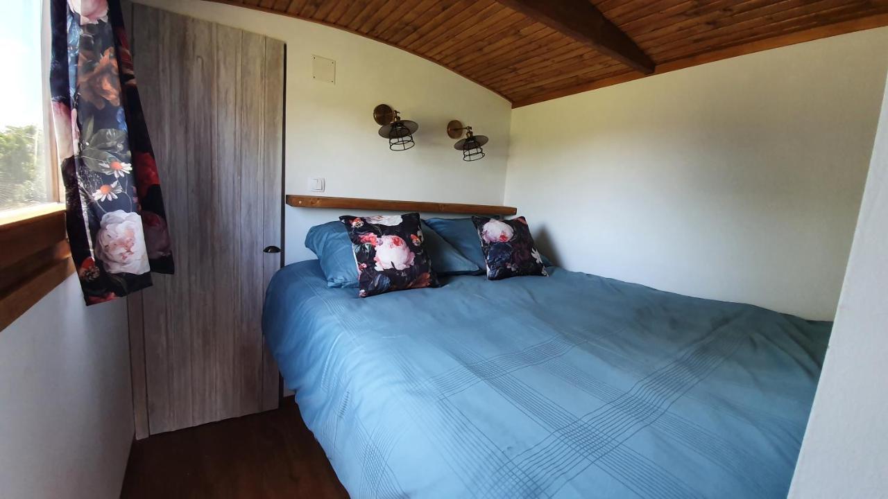 Tisza White House Bed & Breakfast Tiszaszolos ภายนอก รูปภาพ