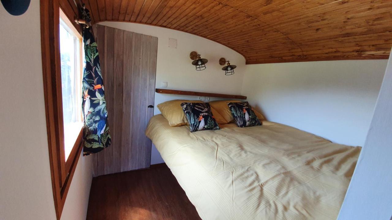 Tisza White House Bed & Breakfast Tiszaszolos ภายนอก รูปภาพ