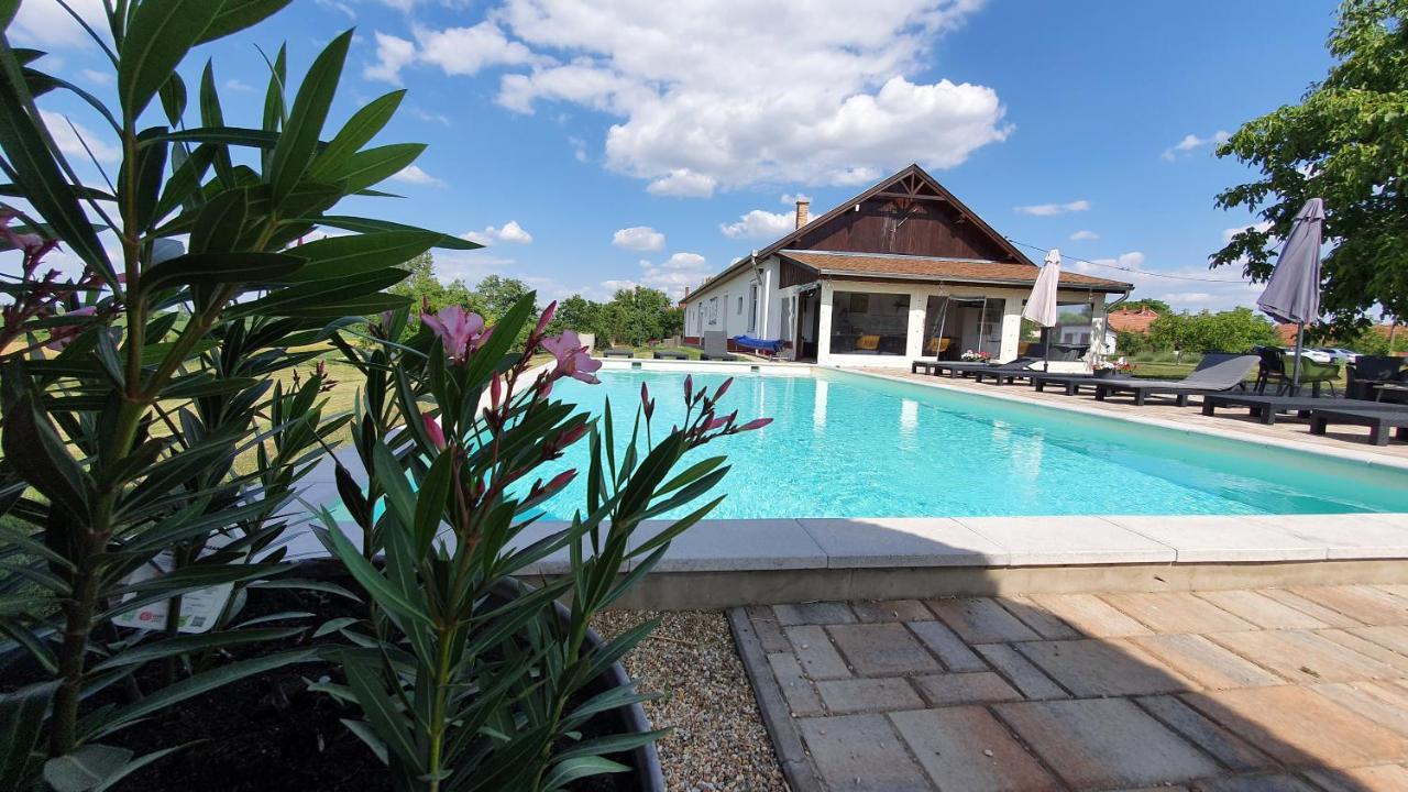 Tisza White House Bed & Breakfast Tiszaszolos ภายนอก รูปภาพ
