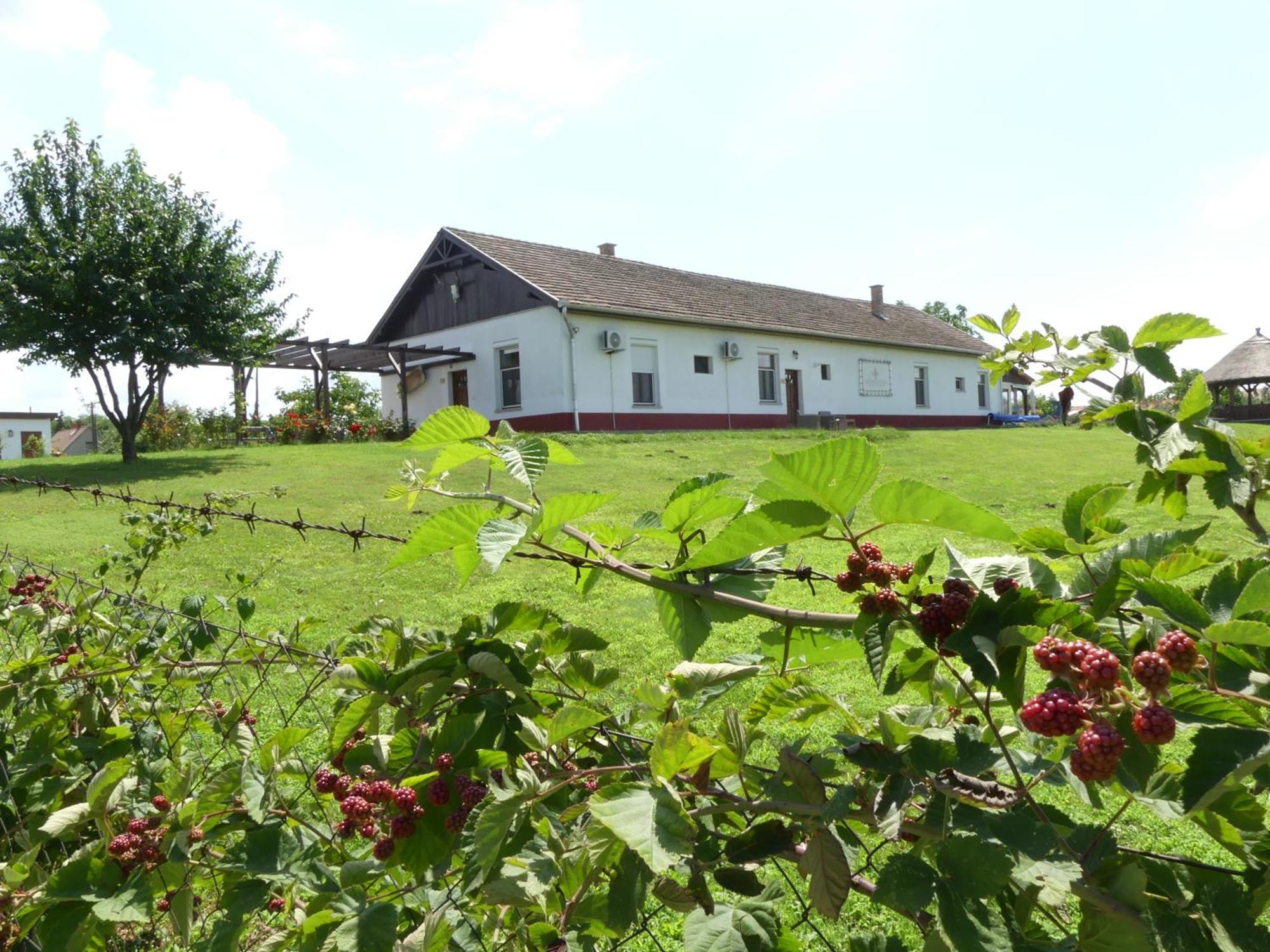 Tisza White House Bed & Breakfast Tiszaszolos ภายนอก รูปภาพ